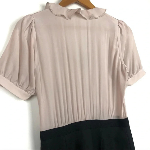 Rebecca Taylor | Blush & Black Ruffle Sheath Dress - Picture 5 of 8